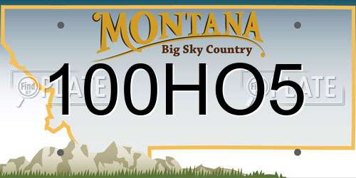 100HO5 Montana License Plate