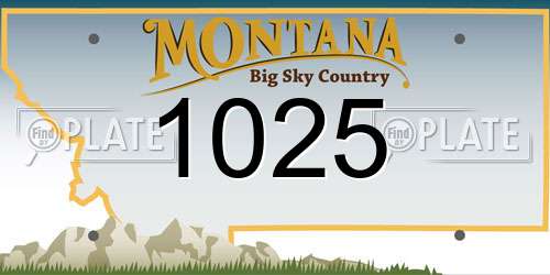 1025 Montana License Plate