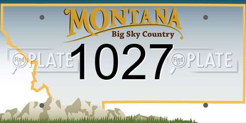 1027 Montana License Plate
