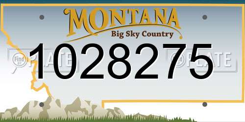 1028275 Montana License Plate
