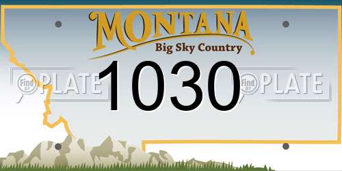 1030 Montana License Plate