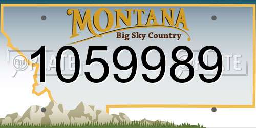 1059989 Montana License Plate