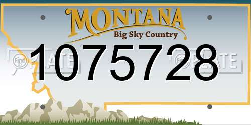 1075728 Montana License Plate