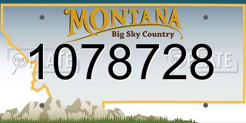 1078728 Montana License Plate