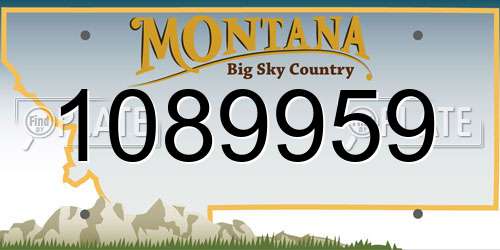 1089959 Montana License Plate