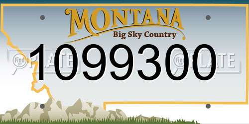 1099300 Montana License Plate