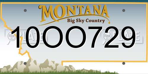 10OO729 Montana License Plate