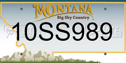 10SS989 Montana License Plate