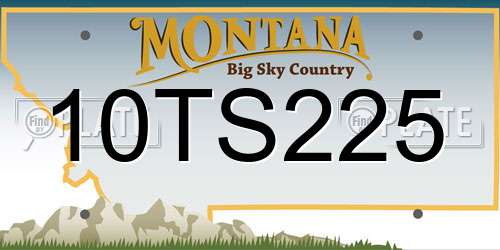 10TS225 Montana License Plate