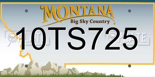 10TS725 Montana License Plate