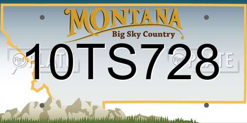 10TS728 Montana License Plate