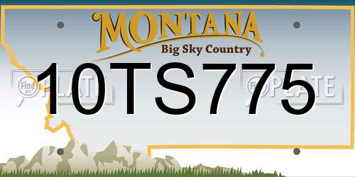 10TS775 Montana License Plate