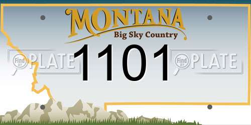 1101 Montana License Plate