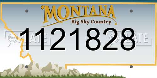 1121828 Montana License Plate