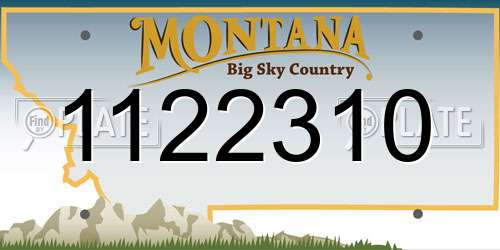 1122310 Montana License Plate