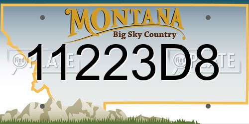 11223D8 Montana License Plate