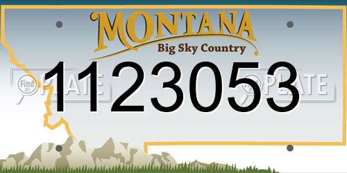 1123053 Montana License Plate