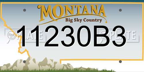 11230B3 Montana License Plate