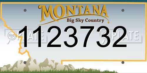 1123732 Montana License Plate