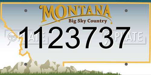 1123737 Montana License Plate