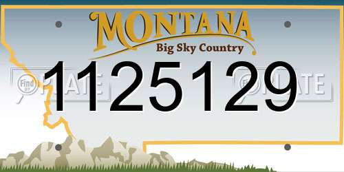 1125129 Montana License Plate