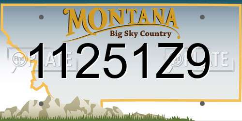 11251Z9 Montana License Plate
