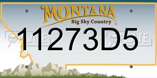 11273D5 Montana License Plate