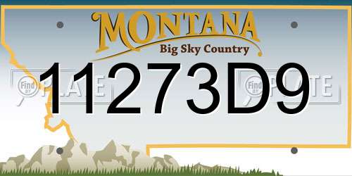 11273D9 Montana License Plate