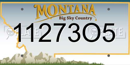 11273O5 Montana License Plate