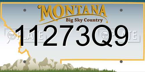 11273Q9 Montana License Plate