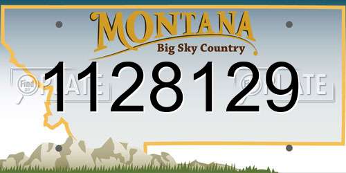 1128129 Montana License Plate