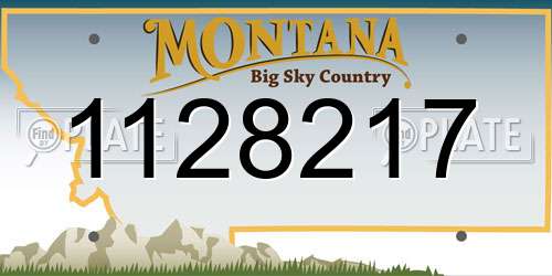 1128217 Montana License Plate