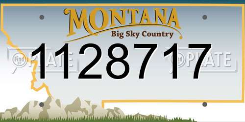 1128717 Montana License Plate