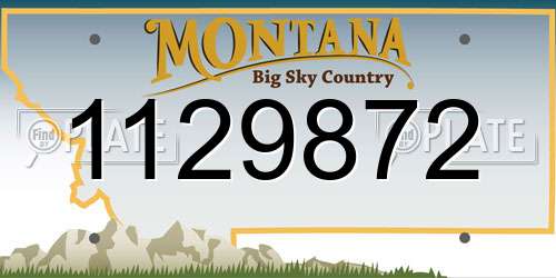 1129872 Montana License Plate