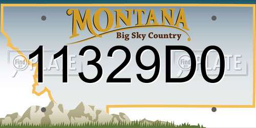 11329D0 Montana License Plate