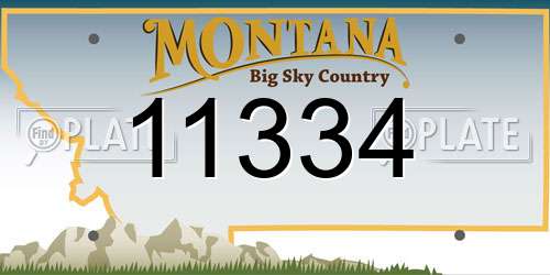 11334 Montana License Plate