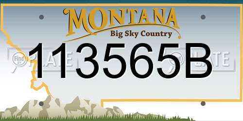113565B Montana License Plate