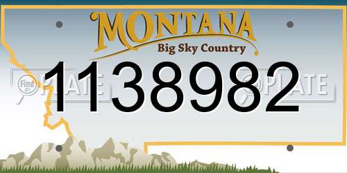 1138982 Montana License Plate