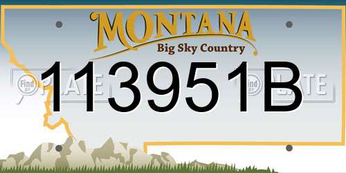113951B Montana License Plate