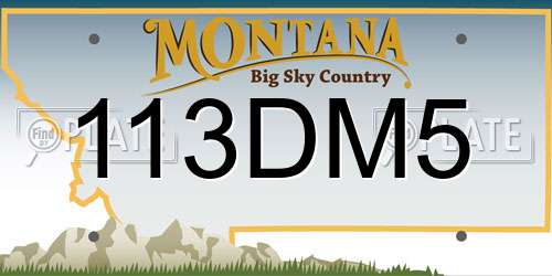 113DM5 Montana License Plate