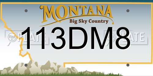 113DM8 Montana License Plate