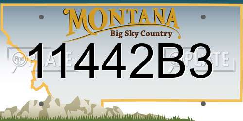 11442B3 Montana License Plate