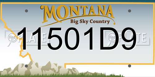 11501D9 Montana License Plate
