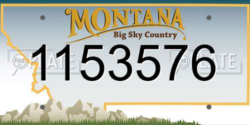 1153576 Montana License Plate