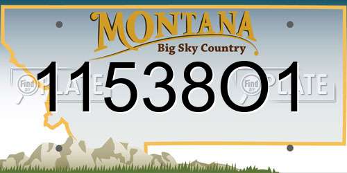 11538O1 Montana License Plate