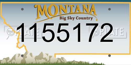 1155172 Montana License Plate