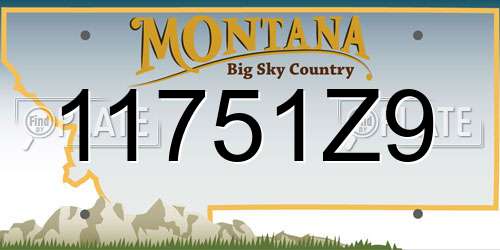 11751Z9 Montana License Plate