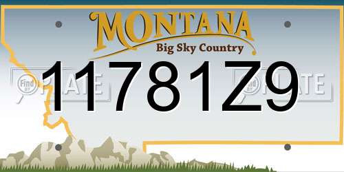 11781Z9 Montana License Plate