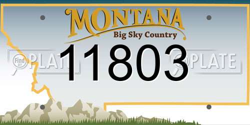 11803 Montana License Plate