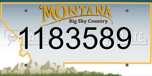 1183589 Montana License Plate